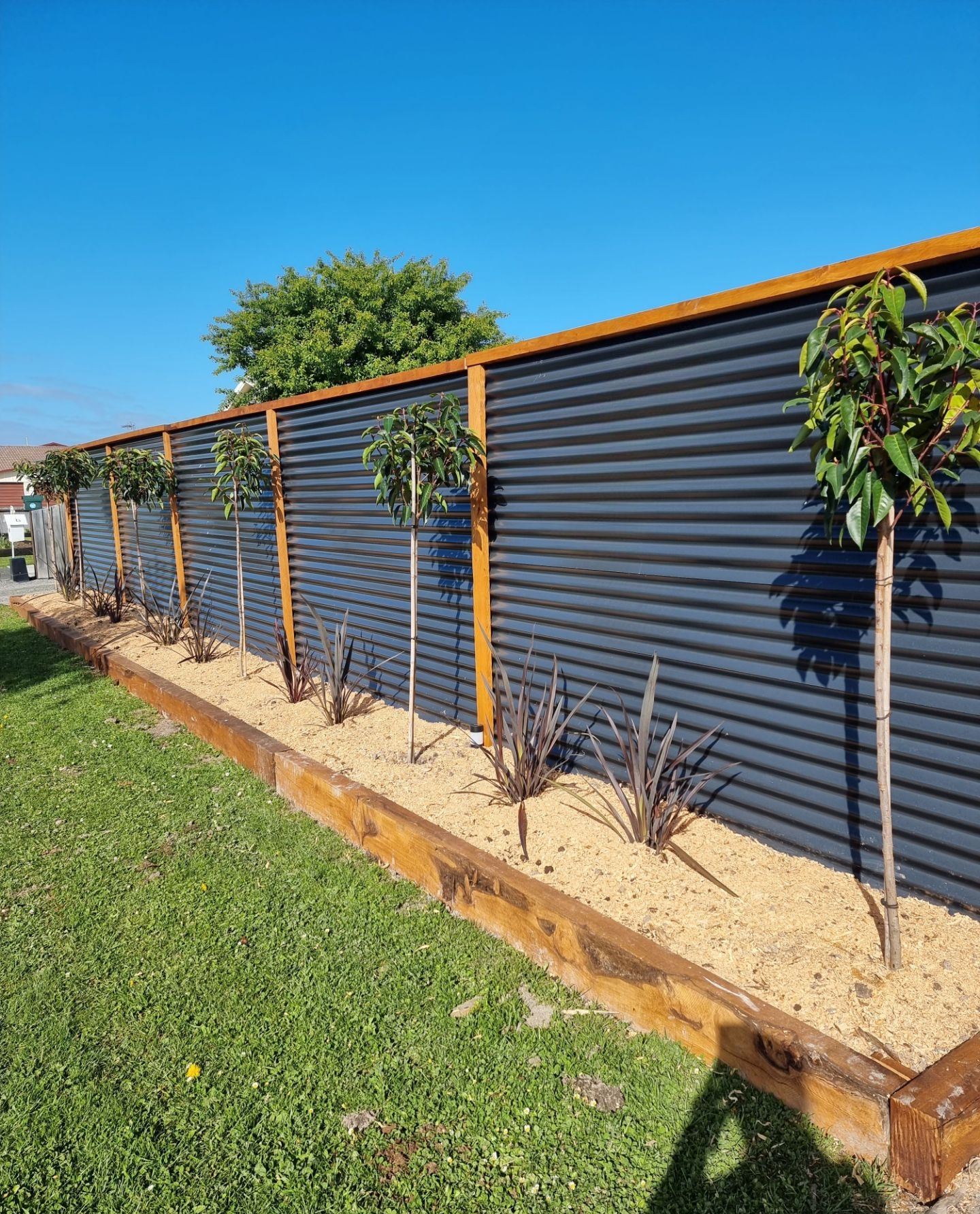 New Corrugated Iron - Custom Lengths