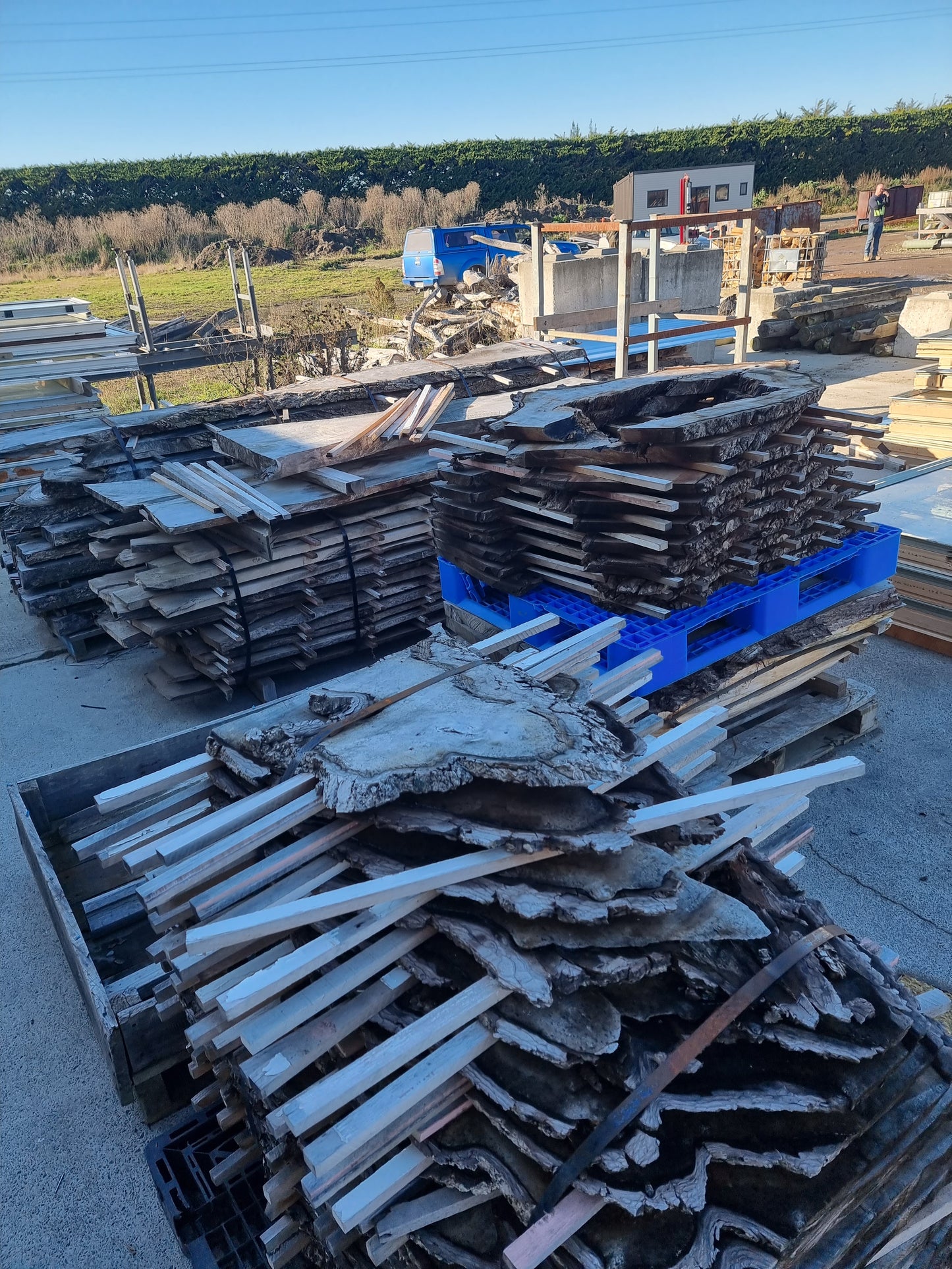 Timber Slabs